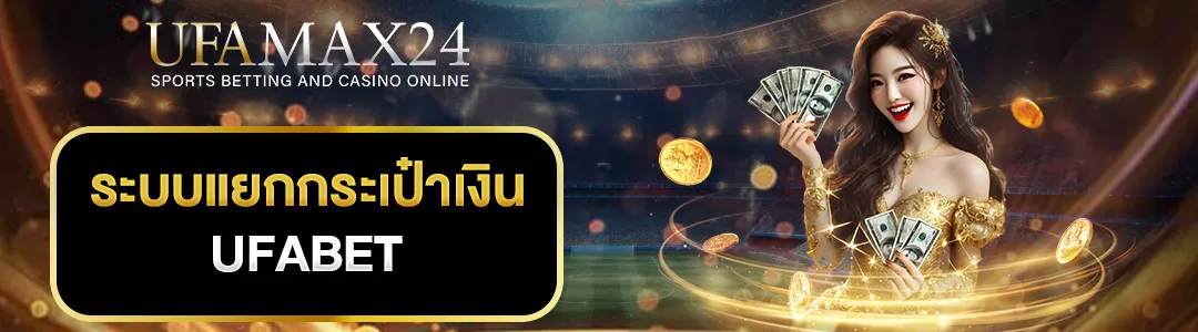 ระบบแยกกระเป๋าเงิน